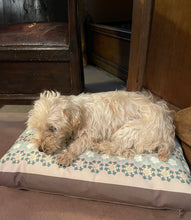 Load image into Gallery viewer, Dog Bed Medlar Cream and Gold