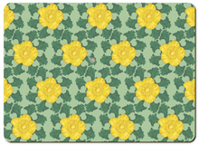 Load image into Gallery viewer, 2 Placemats Medlar Green