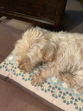 Load image into Gallery viewer, Dog Bed Medlar Cream and Gold