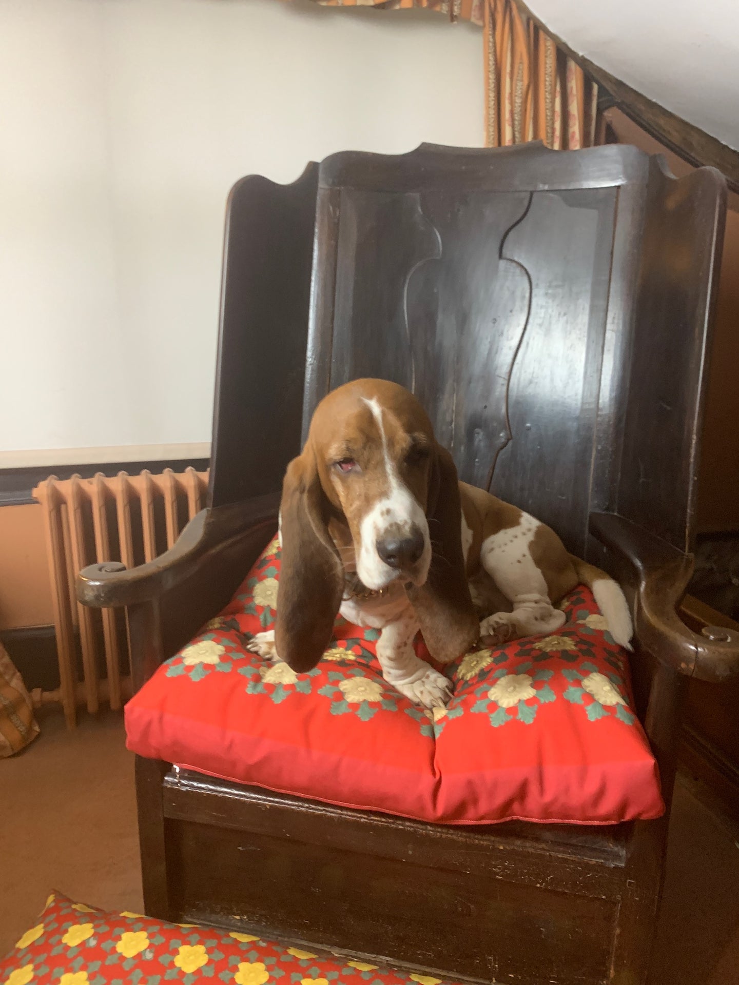 Dog Bed Medlar Red